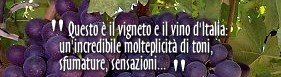 "Introduzione ai Vini" di Alberto Capasso