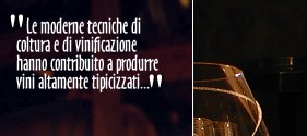 I vini Campani